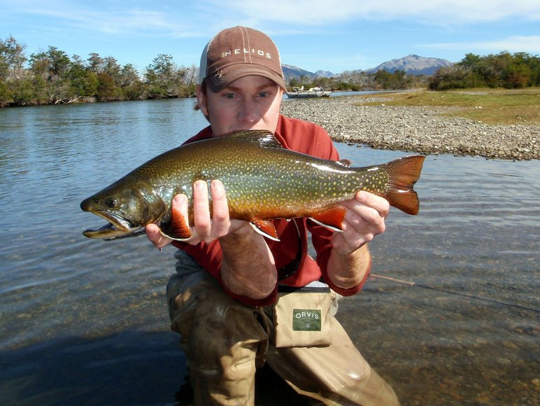 How to Use Big Flies to Catch Giant Brown Trout - Orvis News